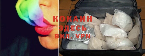 молекула духа Козловка