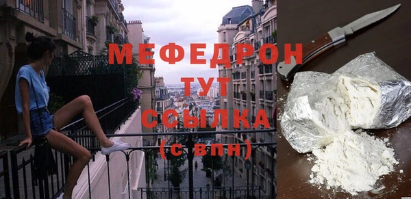индика Коряжма